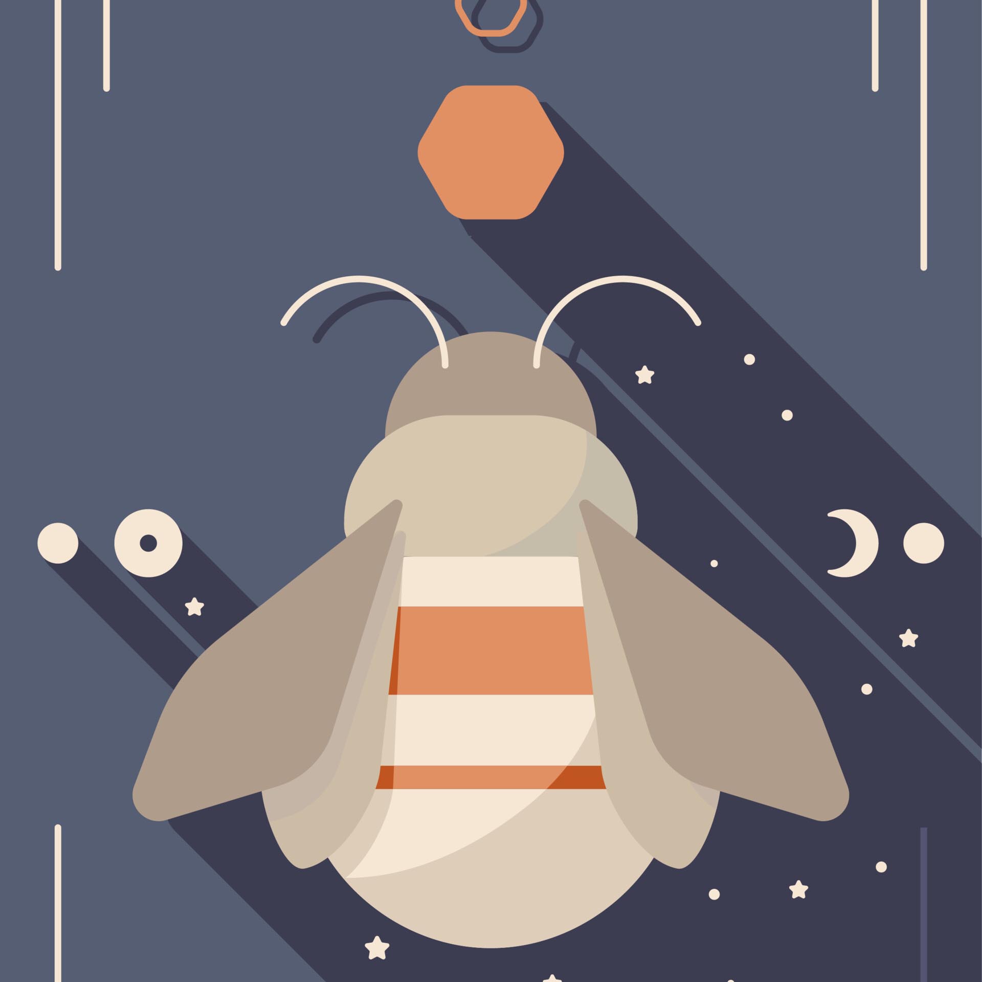 Vector Poster Starry Bee Thumbnail